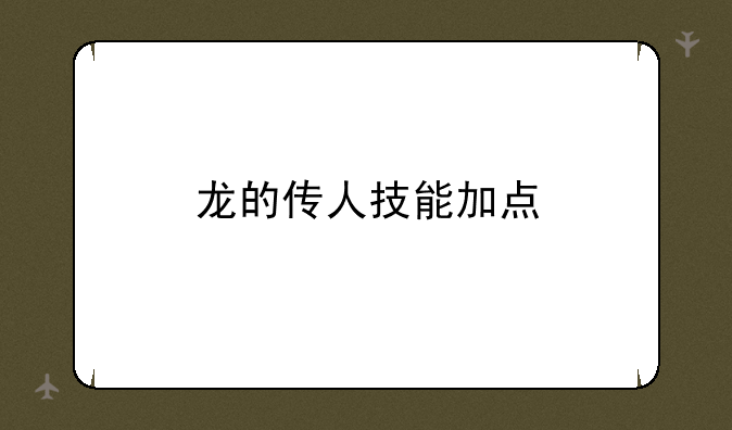 龙的传人技能加点